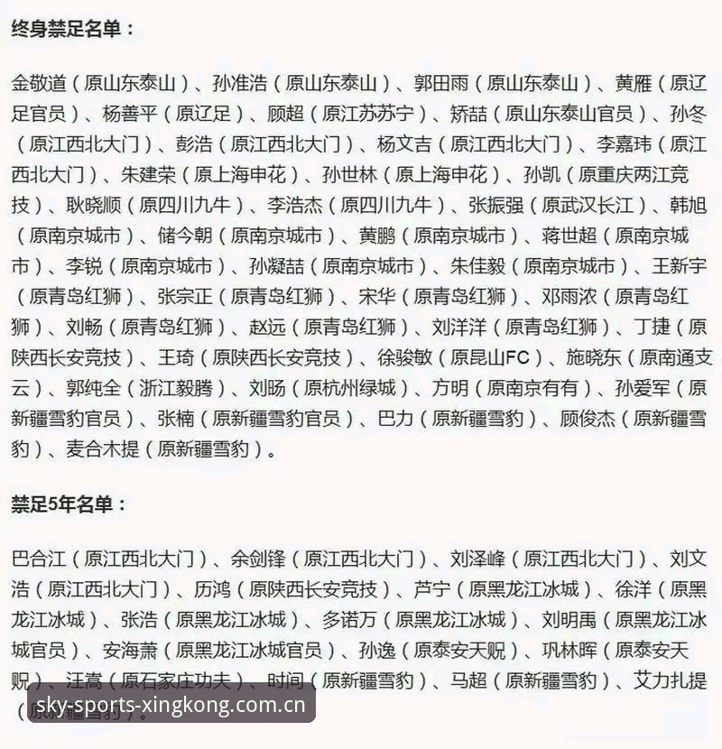 中国足球重磅整顿实用指南：从禁足名单看体育生态变革